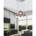 Home Decor Glass LED Pendant Lamps (AD15020-12B)